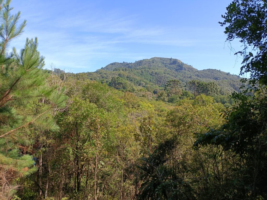 Chácaras em Campo Magro