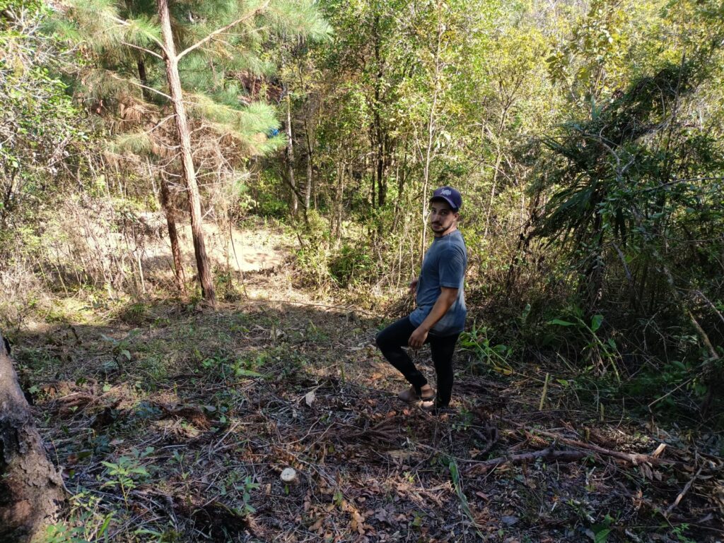 Chácaras em Campo Magro